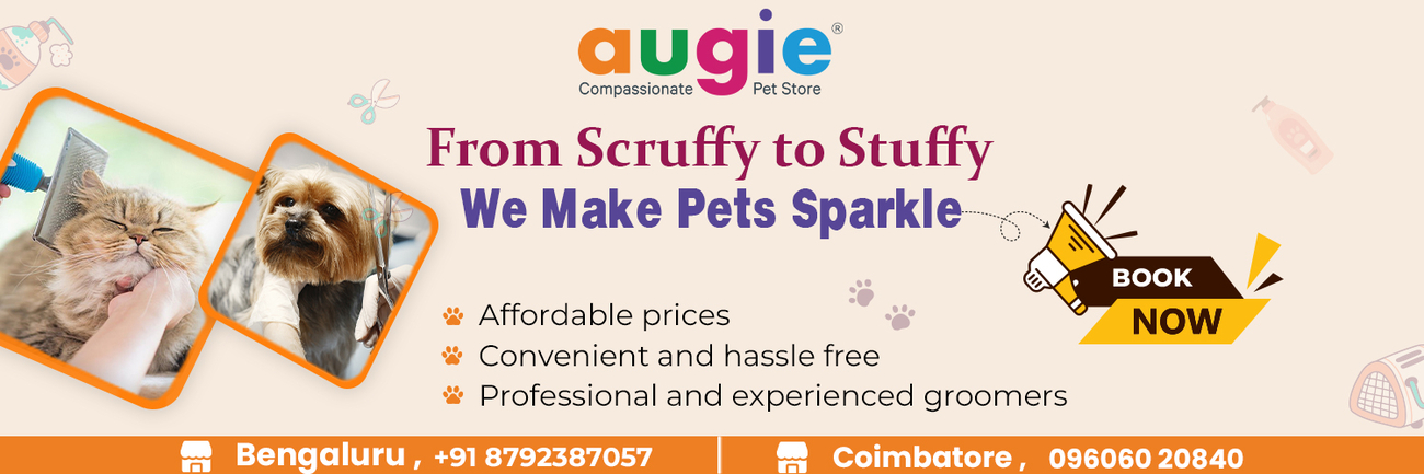 Cover photo of Augie - Pet Store | Pet Grooming And Spa | Pet Clinic In Coimbatore